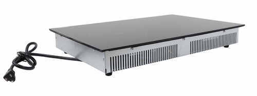 Greystone Electric RV Induction Cooktop